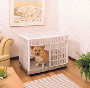 vP[W810 ͂ ybgpi Ƌ   ACXI[}