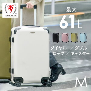 X[cP[X MTCY g s  3-5 51L-61L X[cP[X L[obO gWbv GLXp_u h s Cws Cu CO 킢  ubN u[ O[