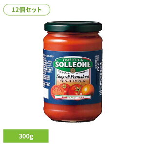 y12zg}g\[XEi`[ g}g\[X C^A ȒP pX^ sU JS P`bv fe pX^\[X ۑH 