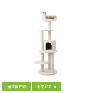 Mau^[ | ItzCg mt-046Mau Lbg^[ Lbgc[ gݗ LXNb`[ Lߋ ܂Ƃ |[ Lxbh ^s