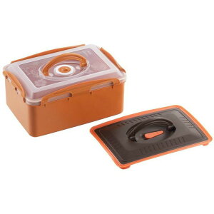 VJ yH Е|bg SJ1910Ђe ۑe  ʂЂ Еe ̗e p^ Lb`pi Е