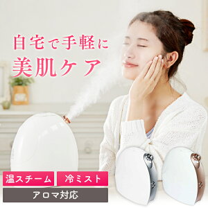 ★最安値挑戦★フェイススチーマー 美顔器 温冷式 アロマ対応 顔 デコルテ スキンケア 微粒子ミスト 保湿 乾燥対策 毛穴 フェイシャルスチーマー ミスト スチーム ディープクレンジング コンパクト プレゼント ギフト シルバー ピンク おしゃれ MH-345 送料無料【D】[広告]