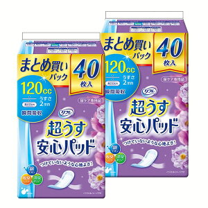 y2ZbgzSpbh 120cc܂ƂߔpbN40 pbh  S gC ܂Ƃߔ 40  l t