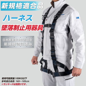 60%OFFN[|zzyVKi Kiztn[lX S ė~p C[hʔ ^b`obN x~tbN| S ef-m007