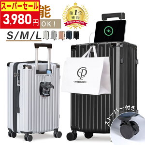 X[p[Z[10Ԍ3,980 X[cP[X L[P[X L[obO 4J[I h y e gN Cws COs GOTOgx s  ef-a028