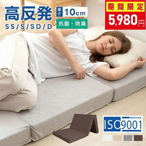 y60%OFFN[|zzz}bgX  O܂ 10cm ܂肽 25D xbh}bgX VO Z~_u _u 190N R hL 􂦂 }bgX ~zc O܂}bgX