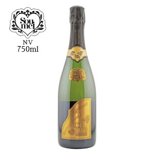 \EC ubg S[h NV 750ml Vp[j