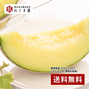 ōIڗÏiI wÉY NE LTCY 1ʁipϔjx yMtgz yzyjzyyMt_̂z