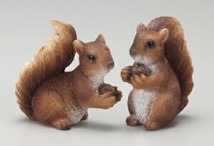 yNEWzySi|CgLy[zS9304@ X̂肷@u@SS @2Zbg@@@I[ig/u/X/K[fjO/IuWF//Aj}/K[fG/Xu/XObY/