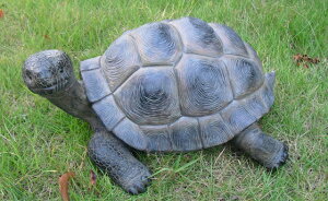 ySi|CgLy[zyNEWzS9565@Tt@V[Y @Aj}u@߁@@/u/I[ig/K[fjO/IuWF/K[fG/K[fjOG/Aj}//