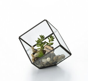 yNEWzySi|CgLy[zSHT6214@ KXv^[@WIeBbNKX@L[u@S@@KX/CeA//O[/A/KXG/݂艺KX/G݁@KX