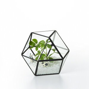 �yNEW�z�y�S���i�|�C���g�L�����y�[�����zSHT6210�@ �K���X�v�����^�[�@�W�I���e�B�b�N�K���X�@�{�b�N�X�@S�@�@�K���X/�C���e���A/��/�O���[��/�A��/�K���X�G��/�݂艺���K���X/�G�݁@�K���X