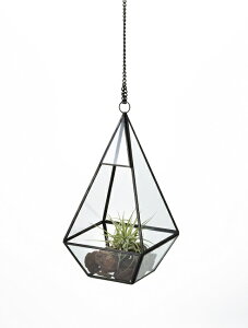 yNEWzySi|CgLy[zSHT6208@ KXv^[@WIeBbNKX@nMO@@@KX/CeA//O[/A/KXG/݂艺KX/G݁@K