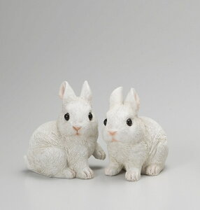 yNEWzy|CgLy[zS6020@ X̂@zCg@M 2Zbg@@u/I[ig/K[fjO//rbg/Jg[/rbgObY/ObY/G/G