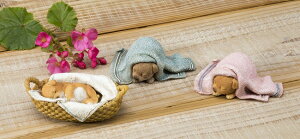 ySi|CgLy[zS6617-6618-6619@ X[sOhbN@3Zbg/I[ig/u/K[fG/K[fjOG/hbNu/u/K[fI[ig