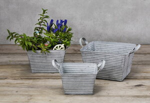 S6530@ Jg[|bg@S@XNGA@uL/v^[