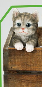 yNEWzy|CgLy[z@S7275@ qLu@@nMOLbg@~j@/I[ig/u/˂/˂G/˂u˂ObY