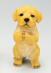 ySi|CgLy[zS7360@ 肢hbN@uh[/hbN//u/I[ig/K[fjO/IuWF/K[fG/K[fjOG/EFJ{[h