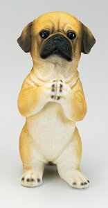 ySi|CgLy[zS7363@ 肢hbN@pO/hbN//u/I[ig/K[fjO/IuWF/K[fG/K[fjOG/EFJ{[h