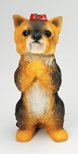 ySi|CgLy[zS7368@ 肢hbN@[NVeA/hbN//u/I[ig/K[fjO/IuWF/K[fG/K[fjOG/EFJ{[h