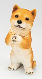 ySi|CgLy[zS7370@ 肢hbN@Č/hbN//u/I[ig/K[fjO/IuWF/K[fG/K[fjOG/EFJ{[h