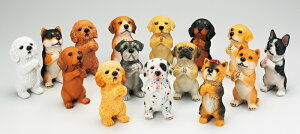 ySi|CgLy[zS7357@ 肢hbN@15Zbg/hbN//u/I[ig/K[fjO/IuWF/K[fG/K[fjOG/EFJ{[h