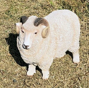 ySi|CgLy[zyNEWz@S7271@ Tt@V[Y@Aj}u@Ђ@@/u/I[ig/K[fjO/IuWF/K[fG/K[fjOG/Aj}//