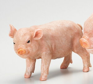 yNEWzySi|CgLy[zS7254@ X̂Ԃ@S@u@@@@I[ig/u/Ԃ/K[fjO/IuWF//Aj}/K[fG/Ԃu/u^ObY/u^I[