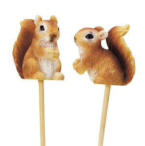 yNEWzySi|CgLy[zS6075@ X̂肷@sbN@@4Zbg@@@I[ig/u/X/K[fjO/IuWF//Aj}/K[fG/Xu/XObY/