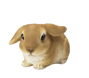 yNEWzy|CgLy[zS8183@X̂@SS @u/I[ig/K[fjO//rbg/Jg[/rbgObY/ObY/G/G݃rbg/u/