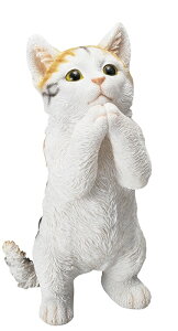 y|CgLy[z@S31342@ qLu@~P@肢Lbg@I[ig/u/˂/lRu/˂G/̓/̓