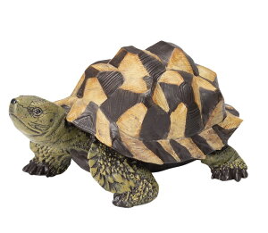 ySi|CgLy[zyNEWzS31375@Tt@V[Y @Aj}u@NKS@߁@~j@/u/I[ig/K[fjO/IuWF/K[fG/K[fjOG/A