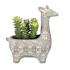 yNEWz@S31747@ Lv^[@L@@@/L/K[fjO/IuWF/K[fG/K[fjOG/Aj}/u/̓/̓