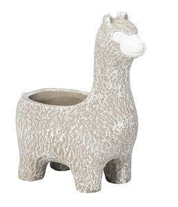 y|CgLy[zS31749@ 킢ApJv^[@/I[ig/u/K[fjO/IuWF/ApJ/u/ApJIuWF/Aj}//ApJObY^ApJu