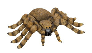 ySi|CgLy[zyNEWzS31880@Tt@V[Y @Aj}u@^`@S@u/I[ig/K[fjO/IuWF/K[fG/K[fjOG/Aj}/