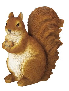 yNEWzySi|CgLy[zS30614@ X̂肷@u@L@@@I[ig/u/X/K[fjO/IuWF//Aj}/K[fG/Xu/XObY/XI[i