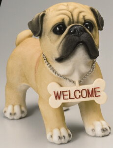 ySi|CgLy[zS2981@ u[EFJhbN@pO/hbN//u/I[ig/K[fjO/IuWF/K[fG/K[fjOG/pO/pOObY/pOG/