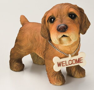 ySi|CgLy[zS289@ u[EFJhbN@v[A/hbN//u/I[ig/K[fG/K[fjOG