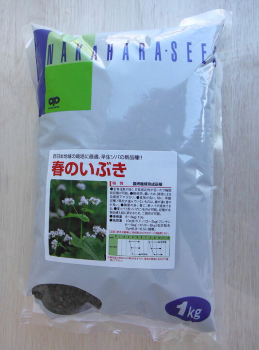 楽天市場】ソバ（蕎麦）：春のいぶき1kg袋詰め[タネ] : 園芸ネット プラス