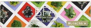 観葉植物/フォトフレームタイプ鉢カバーBFA(ホワイト)&ポトス・エンジョイ