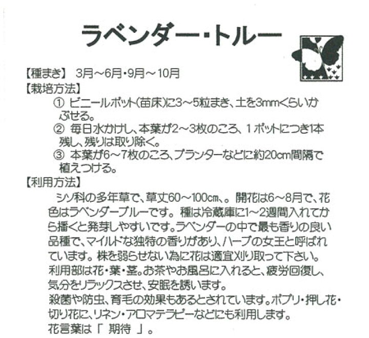 楽天市場 ラベンダー トルーの種 イングリッシュラベンダー 春 秋まきハーブのタネ 園芸ネット プラス 楽天市場 ラベンダー トルーの種 イングリッシュラベンダー 春 秋まきハーブのタネ 園芸ネット プラス