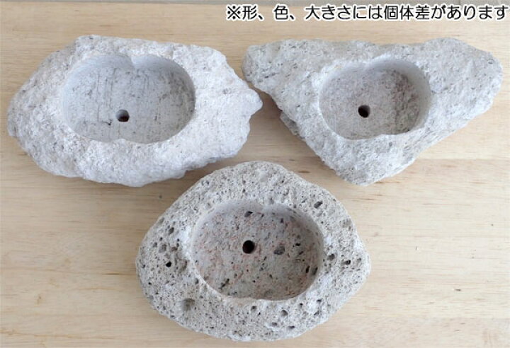 楽天市場】山野草鉢:さつま軽石鉢 Lサイズ(3号〜3.5号苗用) : 園芸ネット プラス 楽天市場】山野草鉢:さつま軽石鉢 Lサイズ(3号〜3.5号苗用) : 園芸ネット プラス