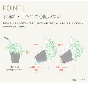 観葉植物/フォトフレームタイプ鉢カバーBFA(ホワイト)&ポトス・エンジョイ