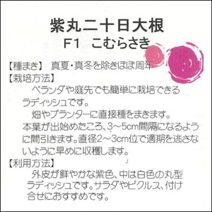 野菜 タネ 種 紫丸二十日大根 F1 こむらさき 藤田種子 根菜、豆類、もやし キヌサヤ 種 たね スジナイン(R) ハイパーPVP 1袋(20ml) 絹さや 絹莢 野菜たね YTC34