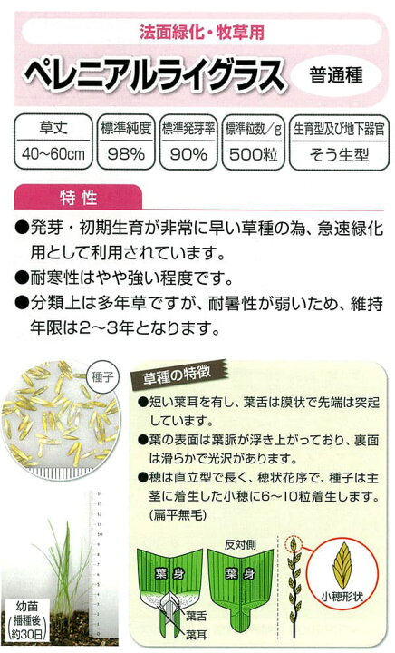 楽天市場 芝の種 西洋芝ペレニアルライグラス 普通種 原袋22 5kg入り 園芸ネット プラス