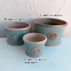 キューガーデンの釉薬鉢:チャートウェルグリーンS(直径17.5cm、高さ13cm)