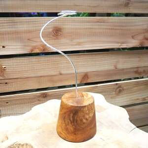 観葉植物/デコレーション資材:エアプランツ用スタンドS(高さ約24cm)