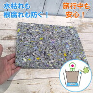 水やりサポート資材・アクアセルR（22×30×h1cm） 10枚セット