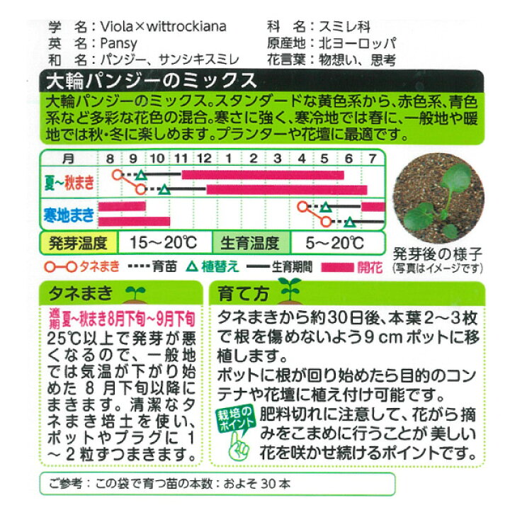 楽天市場 パンジー F1フィノ混合の種 タキイ 花タネ 園芸ネット プラス