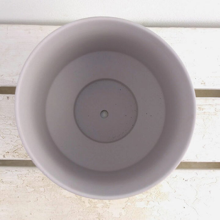 楽天市場】花脊(はなせ)グレイL(直径13.6cm)・皿付 : 園芸ネット プラス 楽天市場】花脊(はなせ)グレイL(直径13.6cm)・皿付 : 園芸ネット プラス